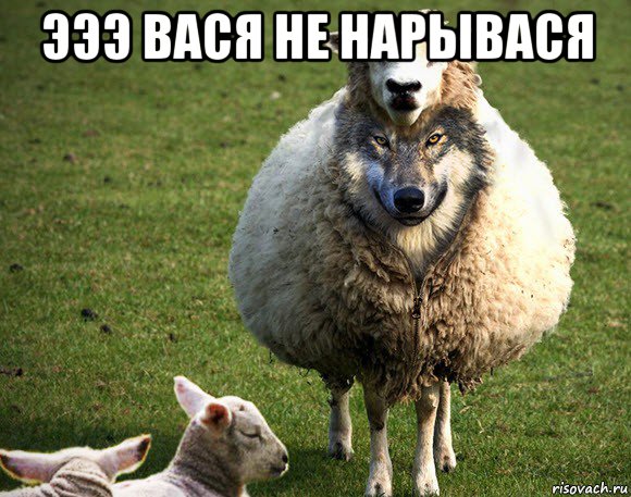 эээ вася не нарывася 