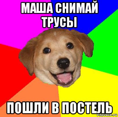 маша снимай трусы пошли в постель, Мем Advice Dog