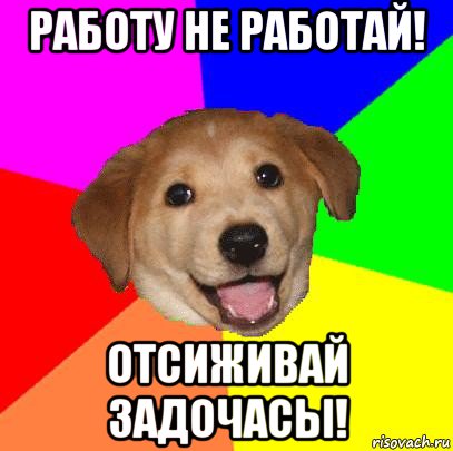 работу не работай! отсиживай задочасы!, Мем Advice Dog