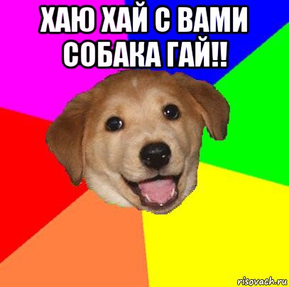 хаю хай с вами собака гай!! , Мем Advice Dog