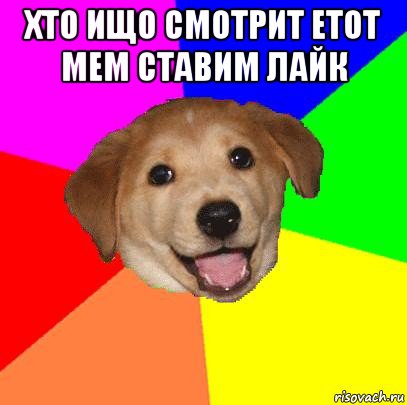 хто ищо смотрит етот мем ставим лайк , Мем Advice Dog