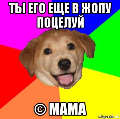 ты его еще в жопу поцелуй © мама, Мем Advice Dog