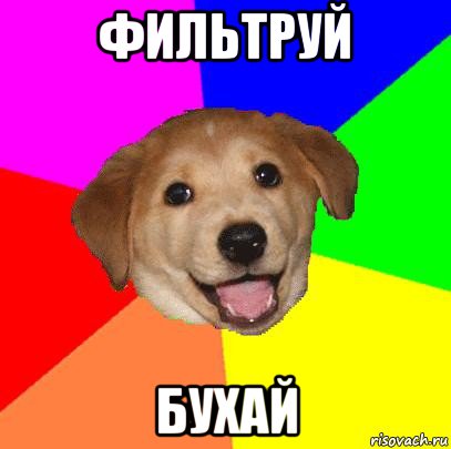 фильтруй бухай, Мем Advice Dog