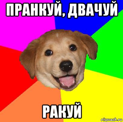 пранкуй, двачуй ракуй, Мем Advice Dog