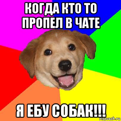 когда кто то пропел в чате я ебу собак!!!, Мем Advice Dog