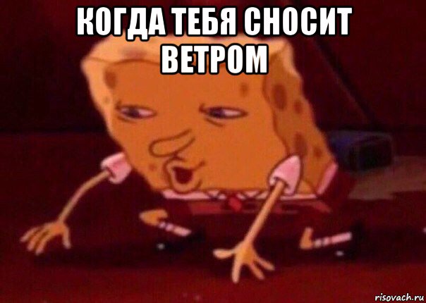 когда тебя сносит ветром , Мем    Bettingmemes