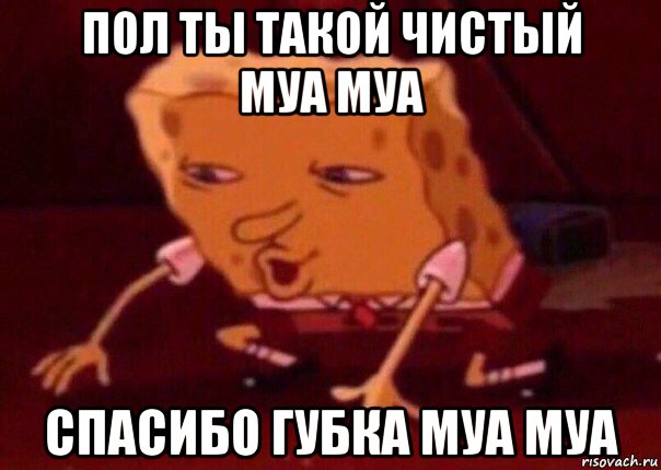 пол ты такой чистый муа муа спасибо губка муа муа, Мем    Bettingmemes