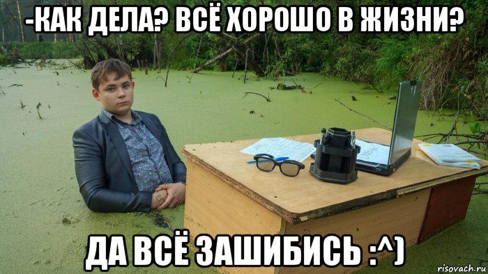 -как дела? всё хорошо в жизни? да всё зашибись :^), Мем  Парень сидит в болоте