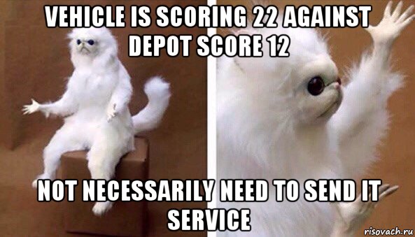 vehicle is scoring 22 against depot score 12 not necessarily need to send it service, Мем Чучело кота