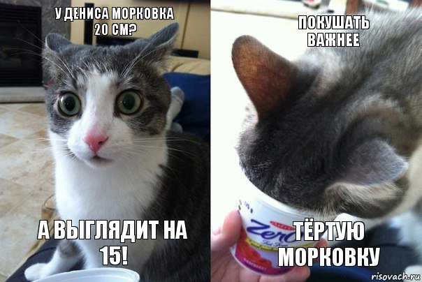 У Дениса морковка 20 см? А выглядит на 15! Покушать важнее Тёртую морковку, Комикс  Да не бред какой-то (4 зоны)