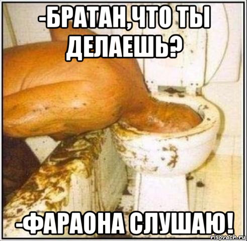 -братан,что ты делаешь? -фараона слушаю!, Мем Дайвер