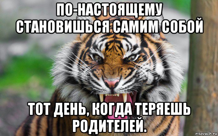 по-настоящему становишься самим собой тот день, когда теряешь родителей.