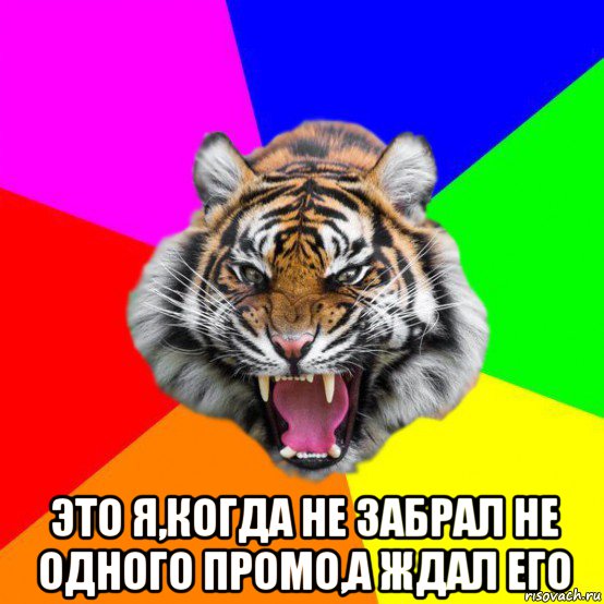  это я,когда не забрал не одного промо,а ждал его, Мем  ДЕРЗКИЙ ТИГР