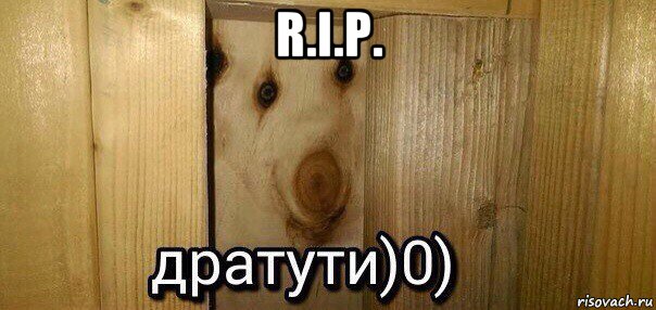 r.i.p. , Мем  Дратути