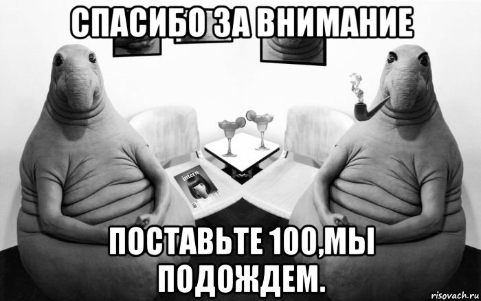 спасибо за внимание поставьте 100,мы подождем., Мем  Два ждуна