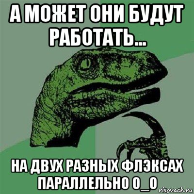 а может они будут работать... на двух разных флэксах параллельно о_о, Мем Филосораптор