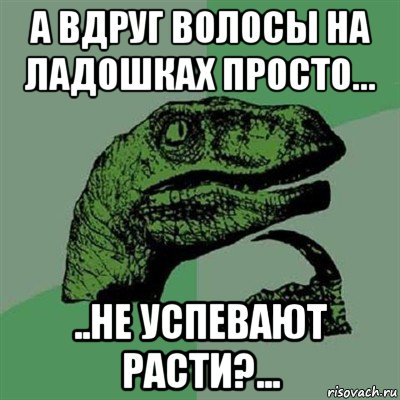 а вдруг волосы на ладошках просто... ..не успевают расти?..., Мем Филосораптор