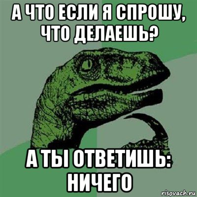 а что если я спрошу, что делаешь? а ты ответишь: ничего, Мем Филосораптор