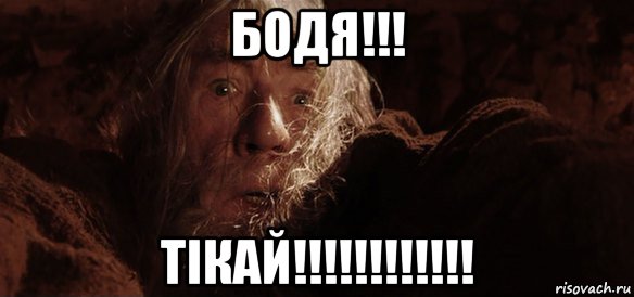 бодя!!! тікай!!!!!!!!!!!!, Мем Гендальф (Бегите глупцы)