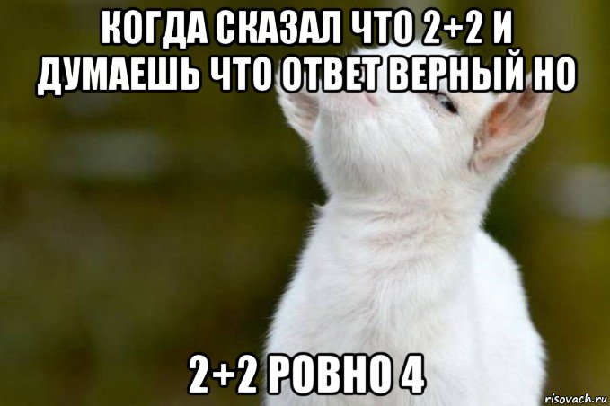 когда сказал что 2+2 и думаешь что ответ верный но 2+2 ровно 4, Мем  Гордый козленок