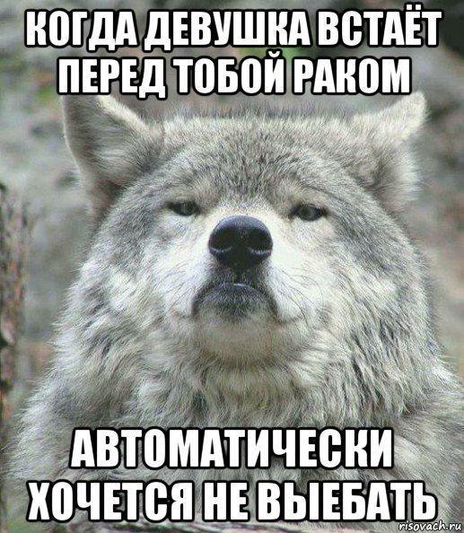 когда девушка встаёт перед тобой раком автоматически хочется не выебать, Мем    Гордый волк