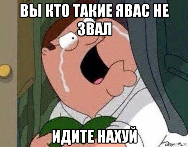 вы кто такие явас не звал идите нахуй, Мем Гриффин плачет