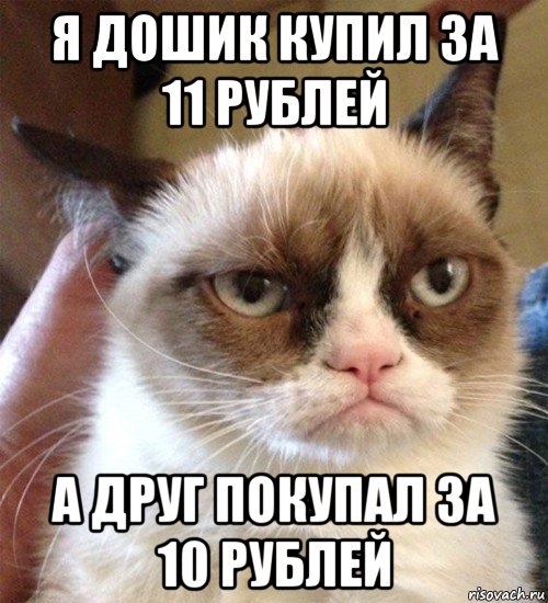 я дошик купил за 11 рублей а друг покупал за 10 рублей, Мем Грустный (сварливый) кот