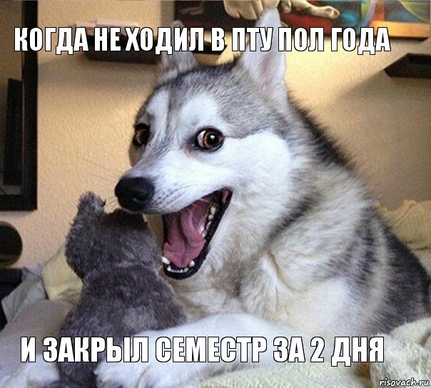 Когда не ходил в пту пол года И закрыл семестр за 2 дня, Комикс хаски шутка