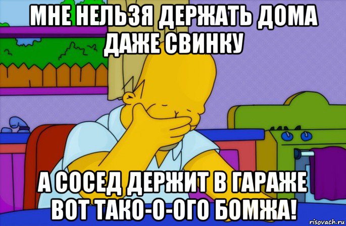 мне нельзя держать дома даже свинку а сосед держит в гараже вот тако-о-ого бомжа!, Мем Homer simpson facepalm