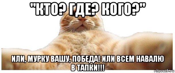 "кто? где? кого?" или, мурку вашу, победа! или всем навалю в тапки!!!, Мем   Кэтсвилл