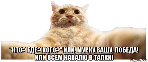  "кто? где? кого?" или, мурку вашу, победа! или всем навалю в тапки!, Мем   Кэтсвилл