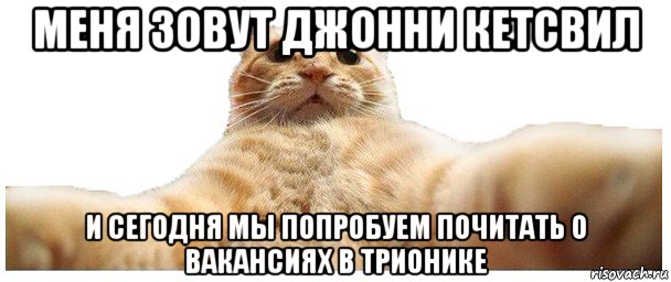 меня зовут джонни кетсвил и сегодня мы попробуем почитать о вакансиях в трионике, Мем   Кэтсвилл