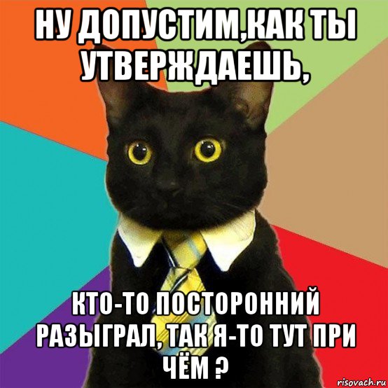 ну допустим,как ты утверждаешь, кто-то посторонний разыграл, так я-то тут при чём ?, Мем  Кошечка