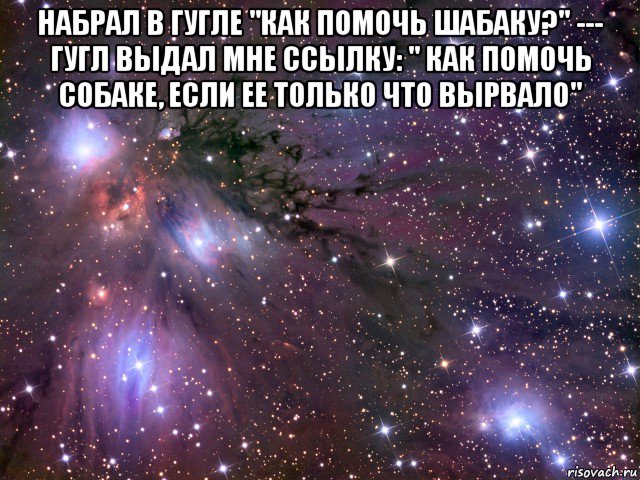 набрал в гугле "как помочь шабаку?" --- гугл выдал мне ссылку: " как помочь собаке, если ее только что вырвало" , Мем Космос