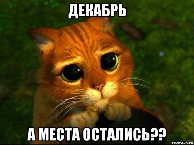 декабрь а места остались??, Мем кот из шрека