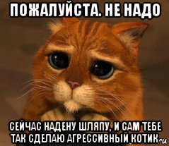 пожалуйста. не надо сейчас надену шляпу, и сам тебе так сделаю агрессивный котик, Мем Кот из Шрека