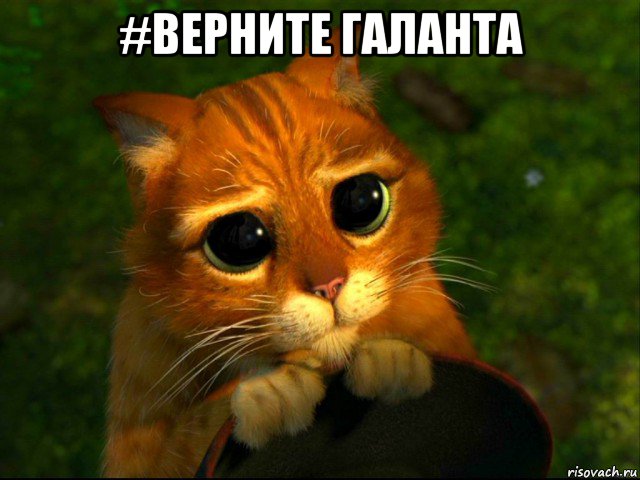 #верните галанта 