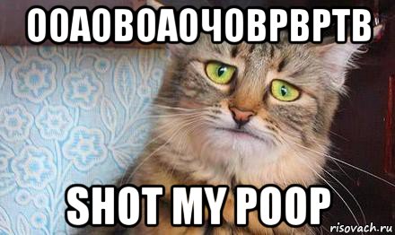 ооаовоаочоврвртв shot my poop