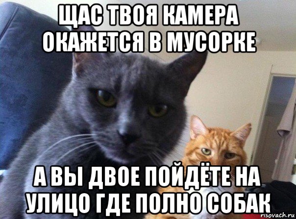 щас твоя камера окажется в мусорке а вы двое пойдёте на улицо где полно собак