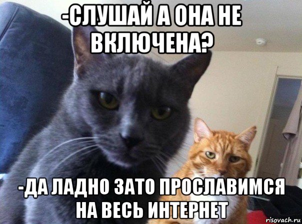 -слушай а она не включена? -да ладно зато прославимся на весь интернет, Мем  Два котэ