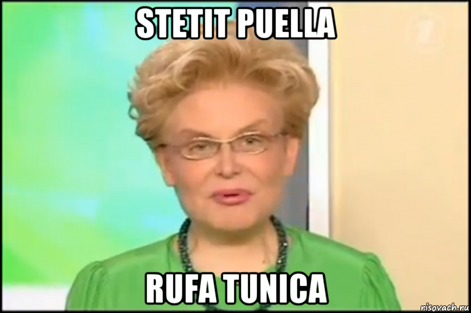 stetit puella rufa tunica, Мем Малышева