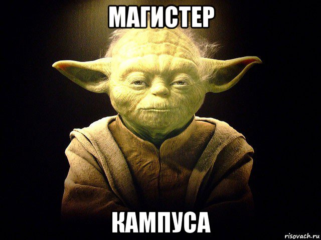 магистер кампуса, Мем  мастер йода