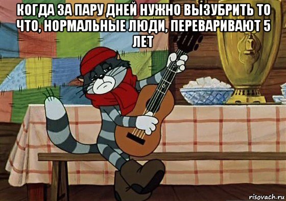 когда за пару дней нужно вызубрить то что, нормальные люди, переваривают 5 лет , Мем Грустный Матроскин с гитарой