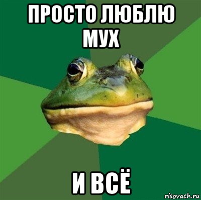 просто люблю мух и всё