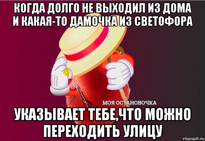 когда долго не выходил из дома и какая-то дамочка из светофора указывает тебе,что можно переходить улицу, Мем   Моя остановочка