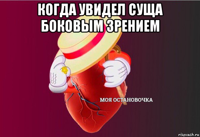 когда увидел суща боковым зрением , Мем   Моя остановочка