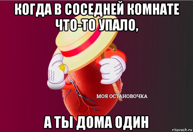 когда в соседней комнате что-то упало, а ты дома один, Мем   Моя остановочка