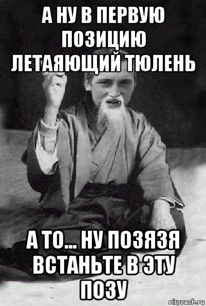 а ну в первую позицию летаяющий тюлень а то... ну позязя встаньте в эту позу, Мем Мудрий паца