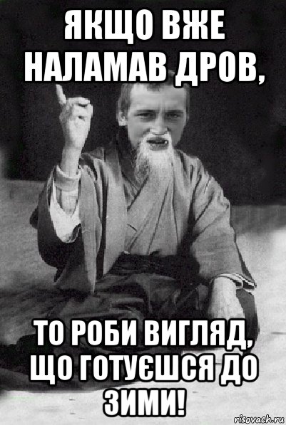 якщо вже наламав дров, то роби вигляд, що готуєшся до зими!, Мем Мудрий паца