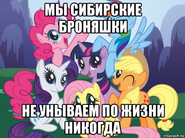 мы сибирские броняшки не унываем по жизни никогда, Мем My little pony